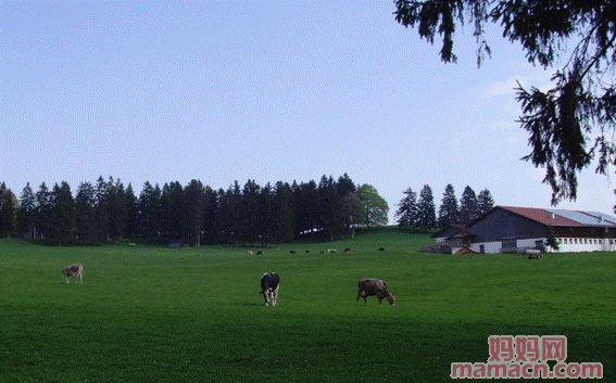image004.gif